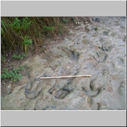 100_0952 (2009-28-07).JPG